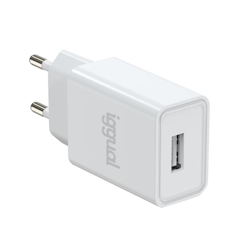 Infortisa Image 1 - iggual Cargador de pared 1xUSB 5V/2A (10W)