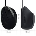 Infortisa Image 2 - Ewent EW3157 Ratón óptico Vertical Usb 2.0