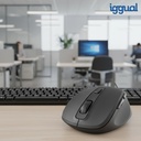 Infortisa Image 7 - iggual Ratón inalámbrico ERGO-SILENT-6D 1600DPI