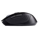 Infortisa Image 2 - Hiditec Ratón Inalámbrico Dendro Avago A3000 Progr