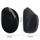 Infortisa Image 2 - Ewent EW3158 Ratón Wireless Vertical 1600 dpi