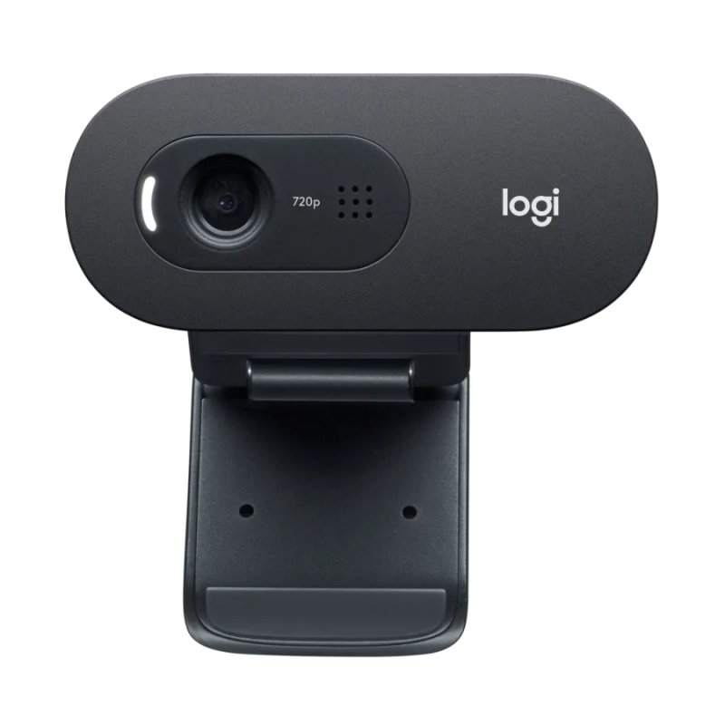 Infortisa Image 1 - Logitech Webcam c505E 1280*720 Negro