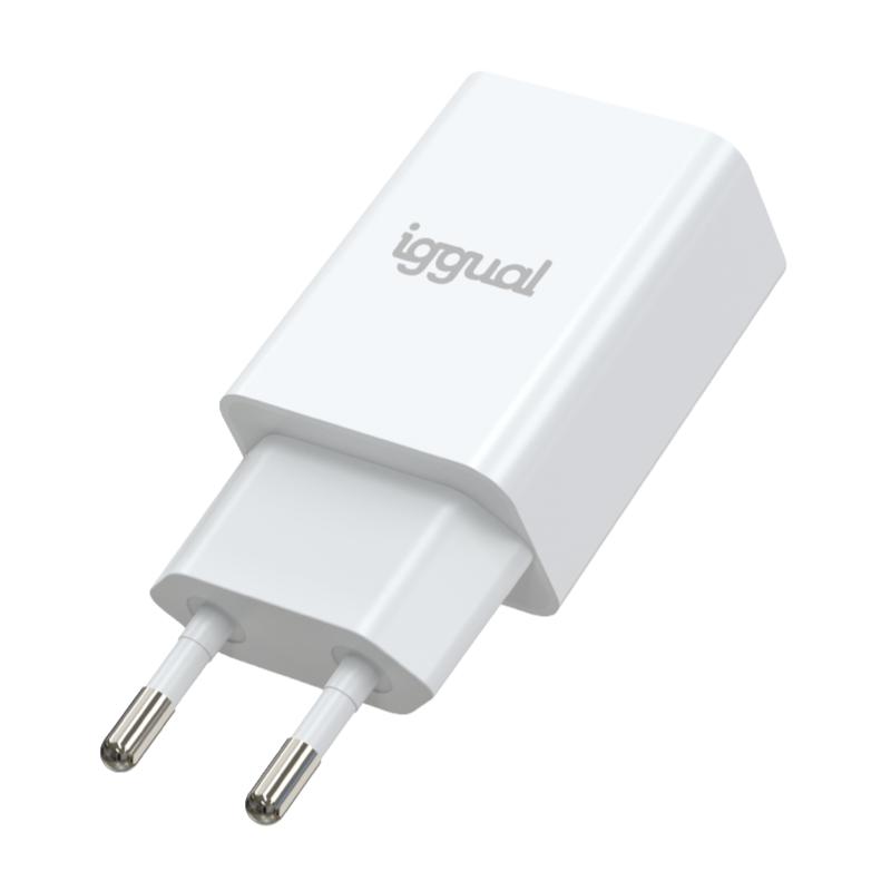 Infortisa Image 1 - iggual Cargador de pared 1xUSB-A 5V/2A (10W)