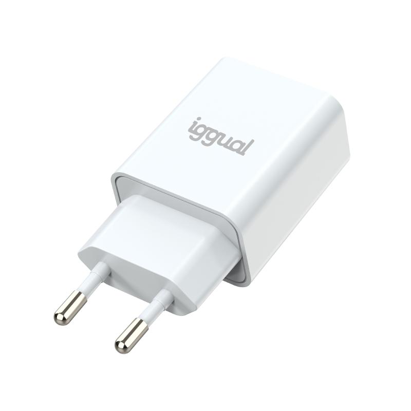 Infortisa Image 1 - iggual Cargador de pared 1xUSB-A 5V/2.4A (12W)