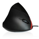 Infortisa Image 3 - EWENT EW3156 Raton Ergonómico USB Negro