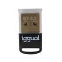 Infortisa Image 1 - iggual Adaptador USB 2.0 mini Bluetooth 5.3