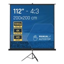 iggual Pantalla 112" 200x200 cm 1:1 trípode+bolsa