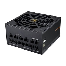 [ICAFA70476] Cougar Fuente Alimentación GR 1000w 80 Plus Gold