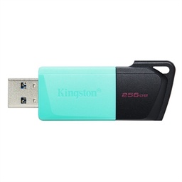 [FAELAP0670] Kingston DataTraveler DTXM 256GB USB 3.2 Gen1 Turq