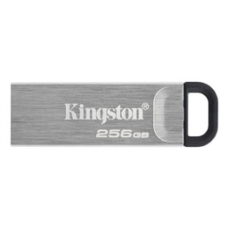 [FAELAP0749] Kingston DataTraveler DTKN 512GB USB 3.2 Gen1 Plat