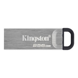 [FAELAP0561] Kingston DataTraveler DTKN 256GB USB 3.2 Gen1 Plat