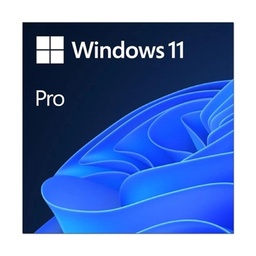 [WSOS640117] Microsoft Windows 11 Pro 64b  ESD