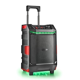 [MAUAPO0612] NGS Altavoz Wildbash 300W Bateria recargable IPX6